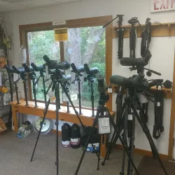 Cape May Bird Observatory - Cape May Court House