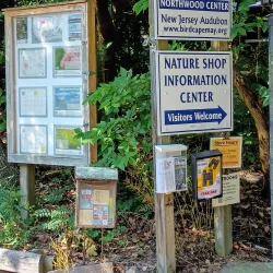Cape May Bird Observatory - Cape May Court House