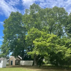Cape May County Historical Museum - Cape May Court House