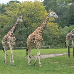 Cape May County Park & Zoo - Cape May Court House