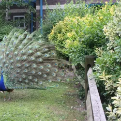 Cape May County Park & Zoo - Cape May Court House