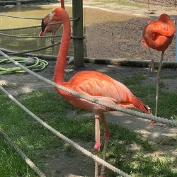 Cape May County Park & Zoo - Cape May Court House