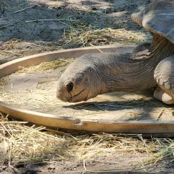 Cape May County Park & Zoo - Cape May Court House