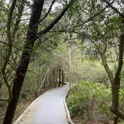 Cape May County Park System Trails - Cape May Court House