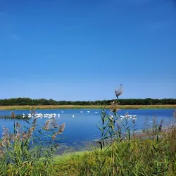 Cape May County Park System Trails - Cape May Court House
