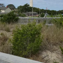 Cape May Lighthouse - Cape May Court House