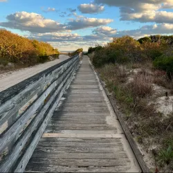 Cape May National Wildlife Refuge - Cape May Court House