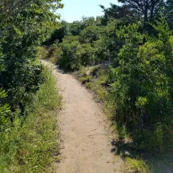 Cape May National Wildlife Refuge - Cape May Court House