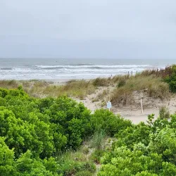 Cape May National Wildlife Refuge - Cape May Court House