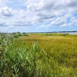 Cape May National Wildlife Refuge - Cape May Court House