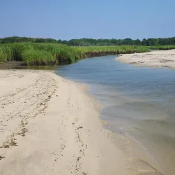 Cape May National Wildlife Refuge - Cape May Court House