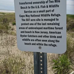 Cape May National Wildlife Refuge - Cape May Court House