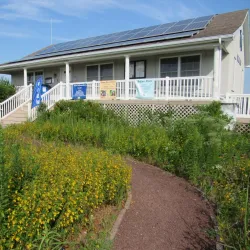 Cape May National Wildlife Refuge - Cape May Court House