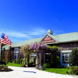 Cape May Winery & Vineyard - Cape May Court House