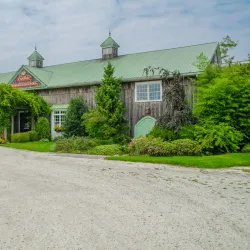 Cape May Winery & Vineyard - Cape May Court House