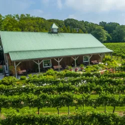Cape May Winery & Vineyard - Cape May Court House