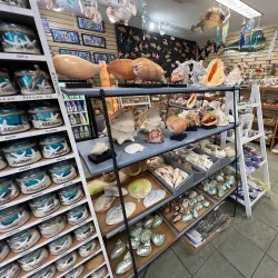 Sunset Beach - Cape May Court House