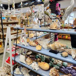 Sunset Beach - Cape May Court House