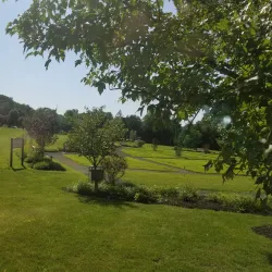 Cherry Hill Public Library - Cherry Hill