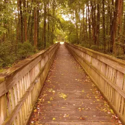 Croft Farm Arts Center - Cherry Hill