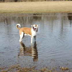 Freedom Park - Cherry Hill