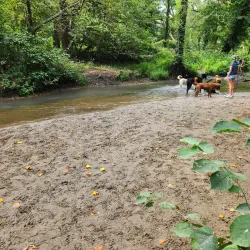 Freedom Park - Cherry Hill