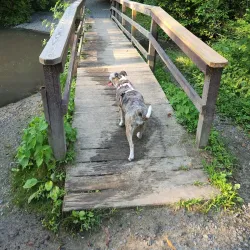 Freedom Park - Cherry Hill