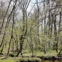 Freedom Park - Cherry Hill