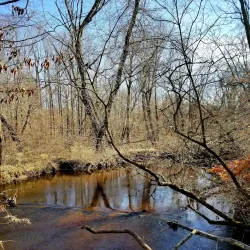 Freedom Park - Cherry Hill
