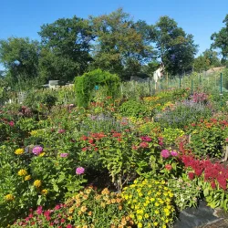 The Historic Barclay Farmstead - Cherry Hill