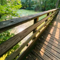 The Historic Barclay Farmstead - Cherry Hill