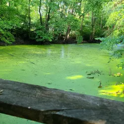 The Historic Barclay Farmstead - Cherry Hill