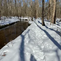 Cresskill Nature Preserve - Cresskill
