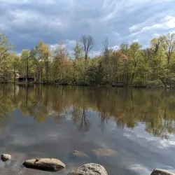 Cresskill Nature Preserve - Cresskill