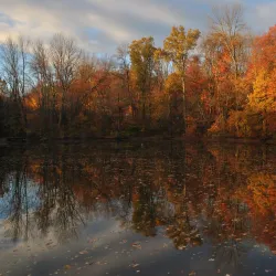 Cresskill Nature Preserve - Cresskill