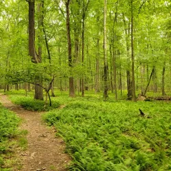 Cresskill Nature Preserve - Cresskill