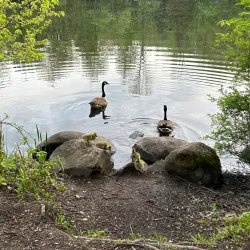Cresskill Nature Preserve - Cresskill