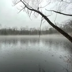 Cresskill Nature Preserve - Cresskill