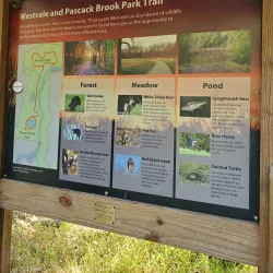 Pascack Brook Park - Cresskill