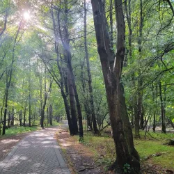 Pascack Brook Park - Cresskill