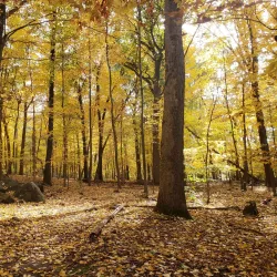 Tenafly Nature Center - Cresskill