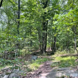 Tenafly Nature Center - Cresskill