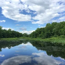 Tenafly Nature Center - Cresskill