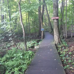 Tenafly Nature Center - Cresskill