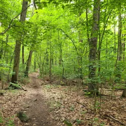 Tenafly Nature Center - Cresskill