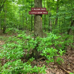 Tenafly Nature Center - Cresskill