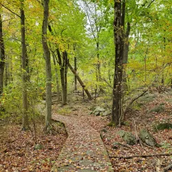 Tenafly Nature Center - Cresskill