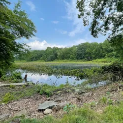 Tenafly Nature Center - Cresskill