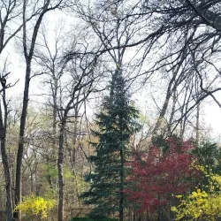 Dunellen Borough Park - Dunellen