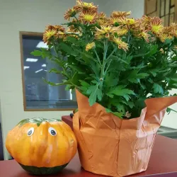 Dunellen Public Library - Dunellen